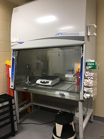 Biosafety Cabinet with scale in it